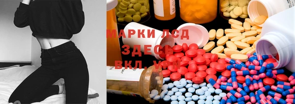 крисы Аркадак