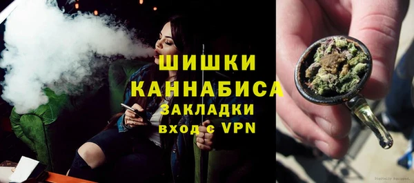 прущие грибы Арсеньев