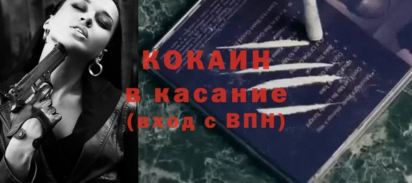 прущие грибы Арсеньев