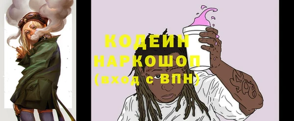 прущие грибы Арсеньев