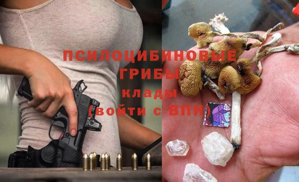 крисы Аркадак