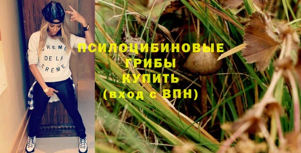 крисы Аркадак