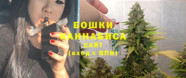 крисы Аркадак