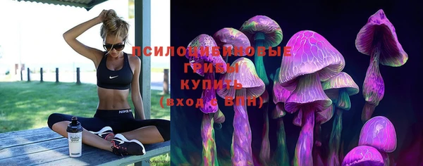 крисы Аркадак