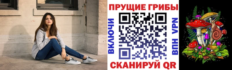Галлюциногенные грибы MAGIC MUSHROOMS  закладка  МЕГА ТОР  Игарка 